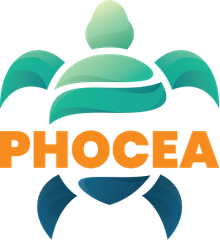 Phocea Mexico
