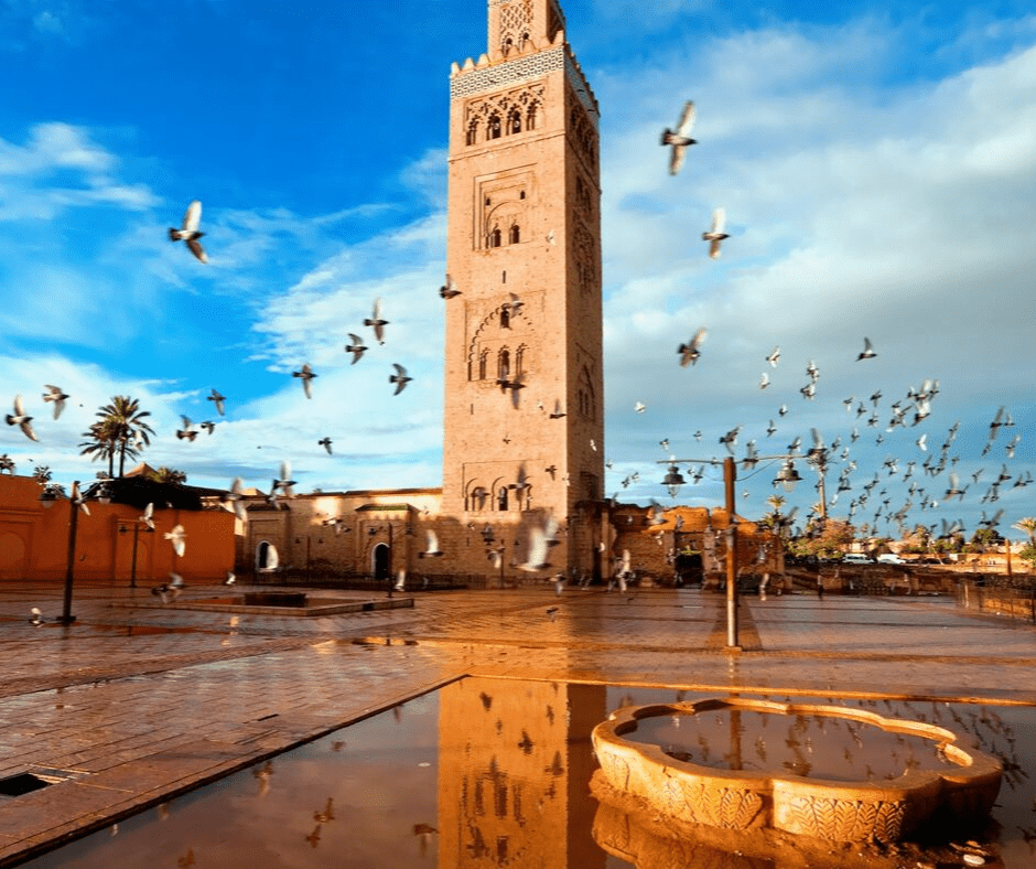 Découverte de Marrakech